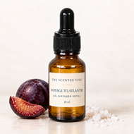 Voyage to Atlantis Oil Diffuser Refill with subtle scent cues