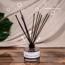 Load image into Gallery viewer, How to Catch a Hummingbird Reed Diffuser