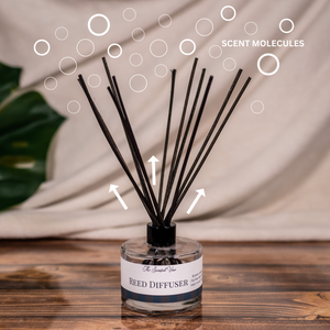Reclaiming My Time Reed Diffuser