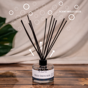 Day Drinkin' Reed Diffuser